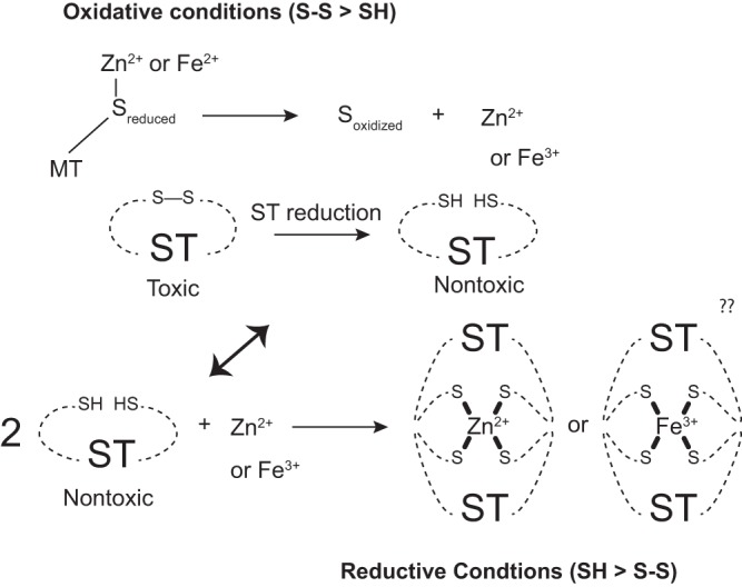 FIG 9