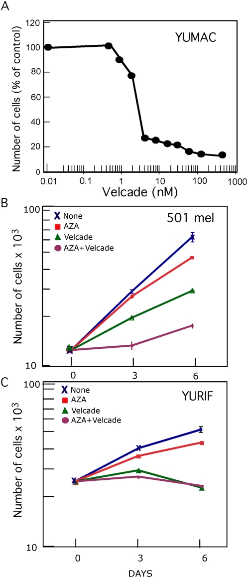 Figure 9