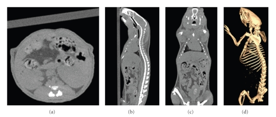 Figure 11