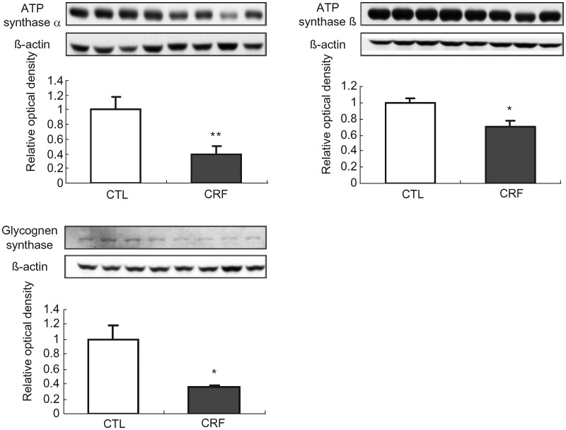 Fig. 4.