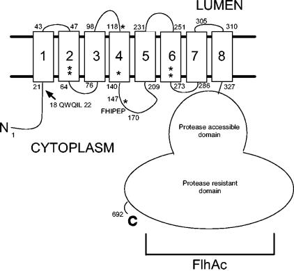 FIG. 5.