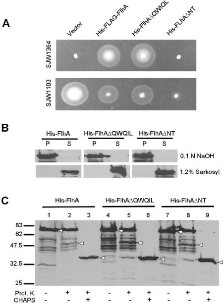 FIG. 1.