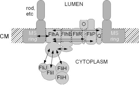 FIG. 6.