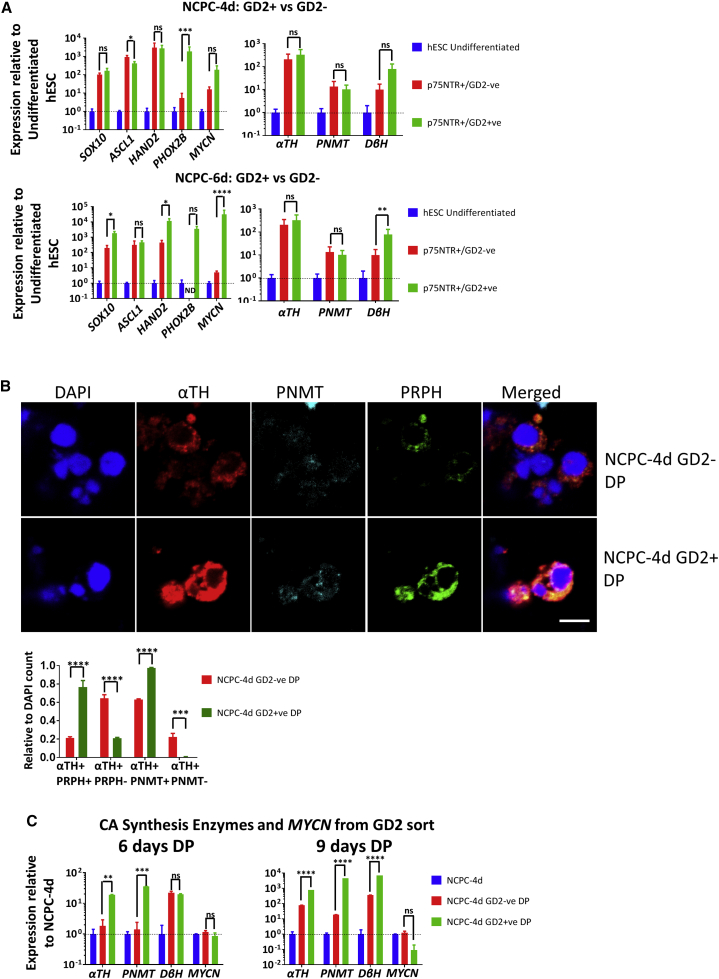 Figure 6