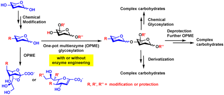 graphic file with name nihms-1515941-f0001.jpg