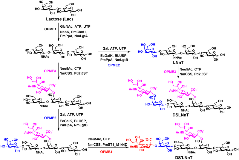 Figure 12.