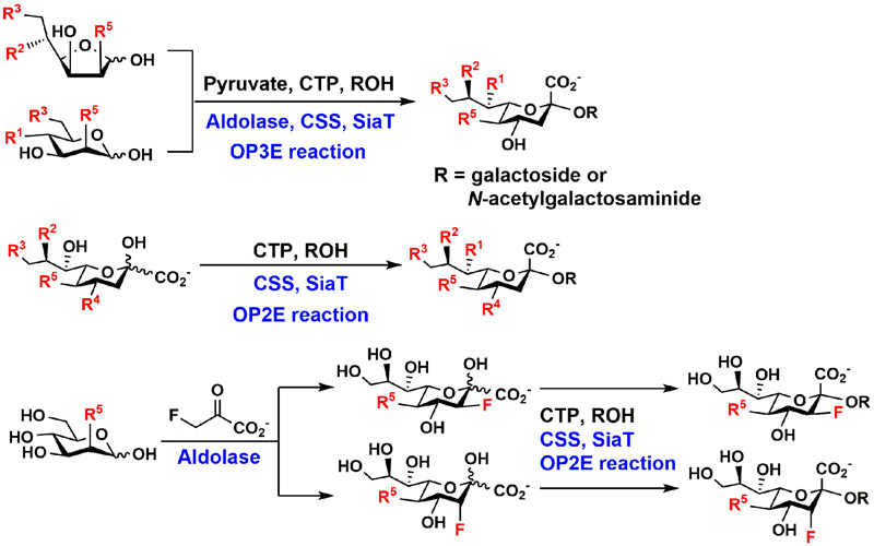 Figure 3.