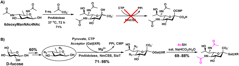 Figure 13.