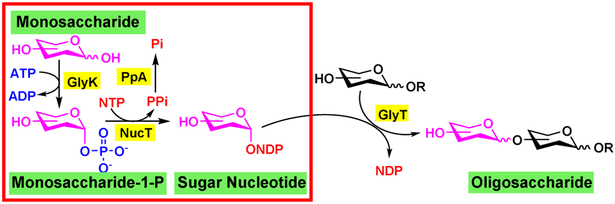 Figure 7.