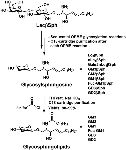 Figure 14.