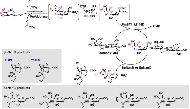 Figure 6.