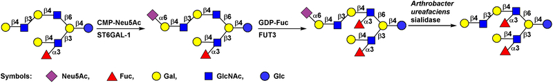 Figure 11.