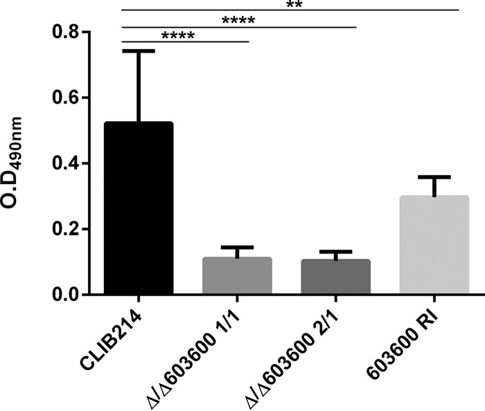 FIG 6