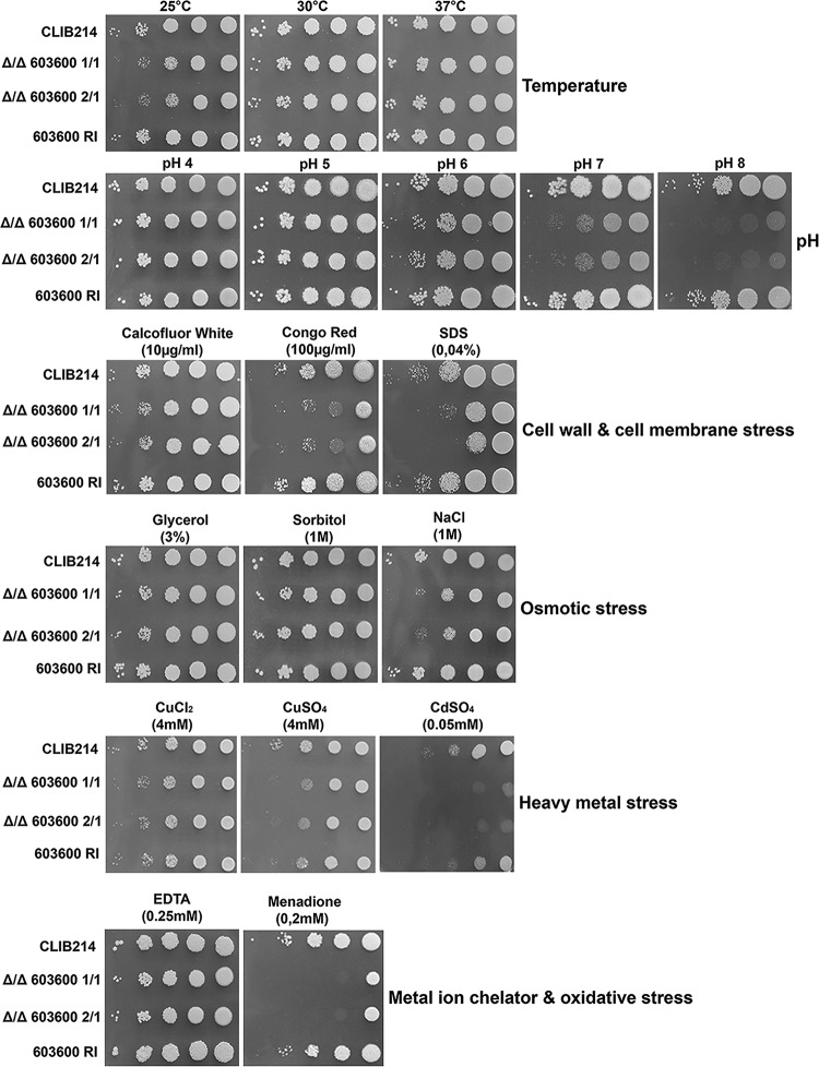 FIG 2