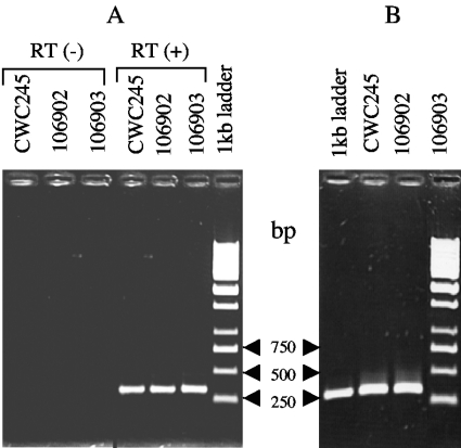 FIG. 4.