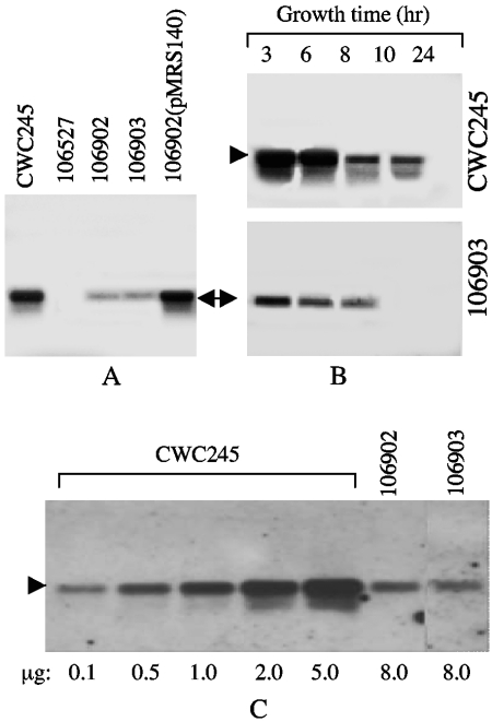 FIG. 5.