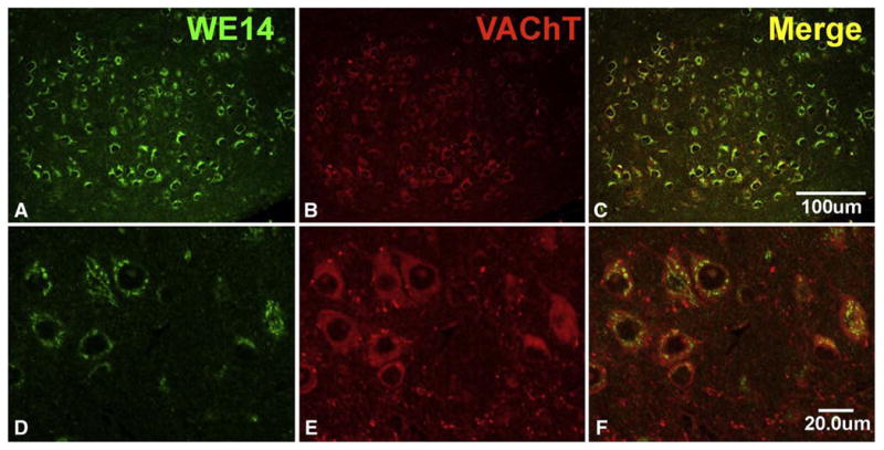 Fig. 4