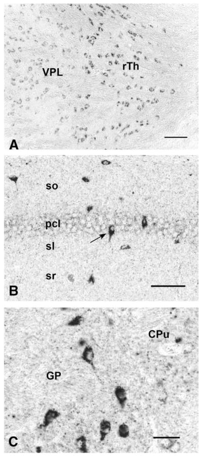 Fig. 9