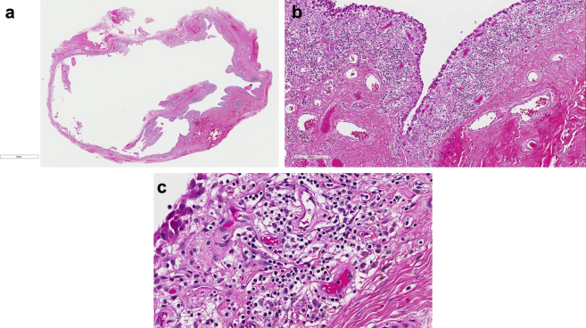 Figure 7