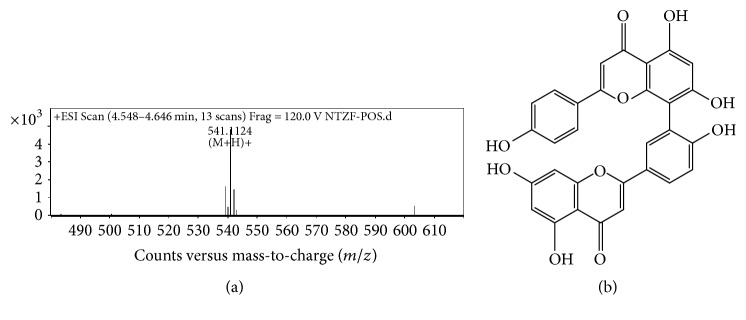 Figure 7