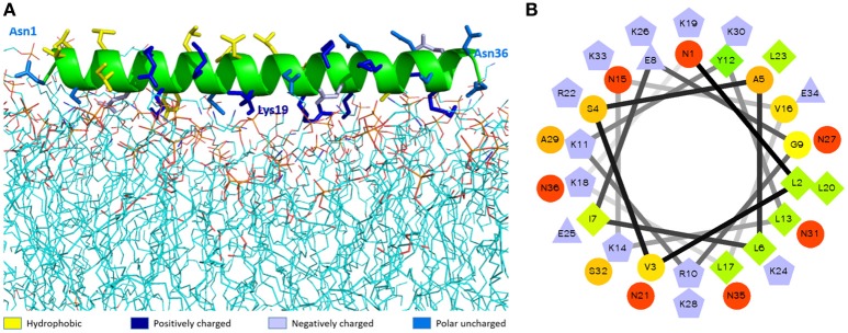 Figure 2