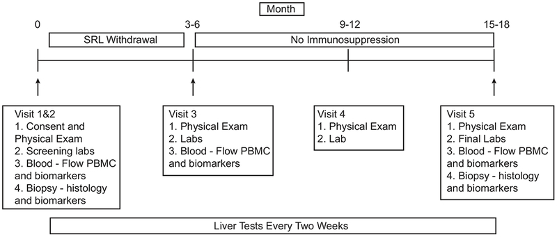 Figure 1: