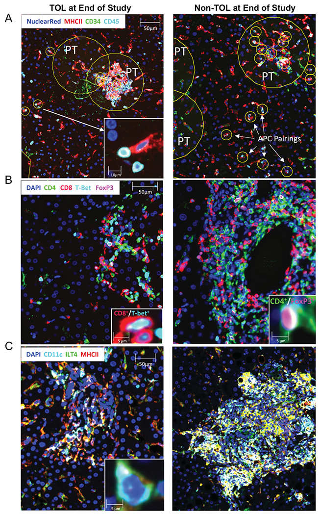 Figure 6: