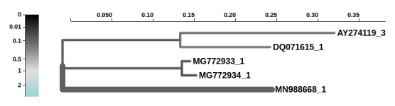 Fig 4