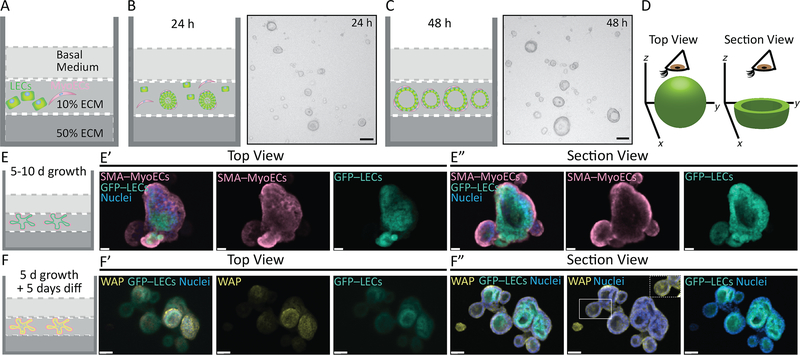 Figure 3: