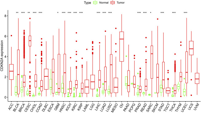 FIGURE 1