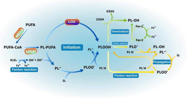 FIGURE 3