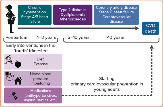 Figure 2: