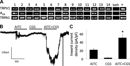 Fig. 6.