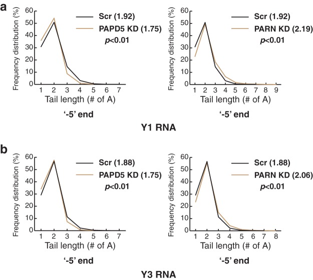 FIG 12