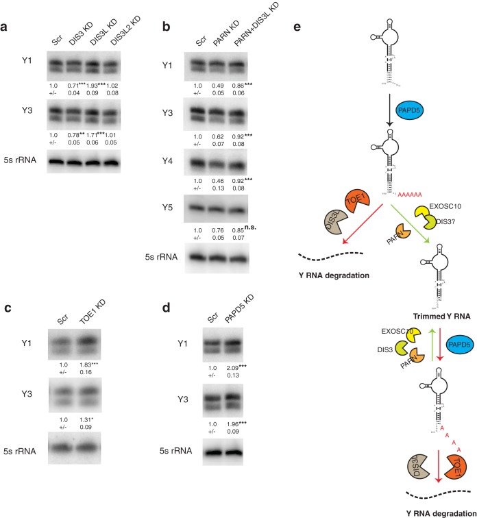 FIG 2