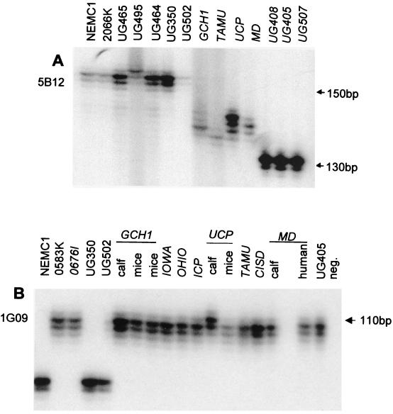 FIG. 1