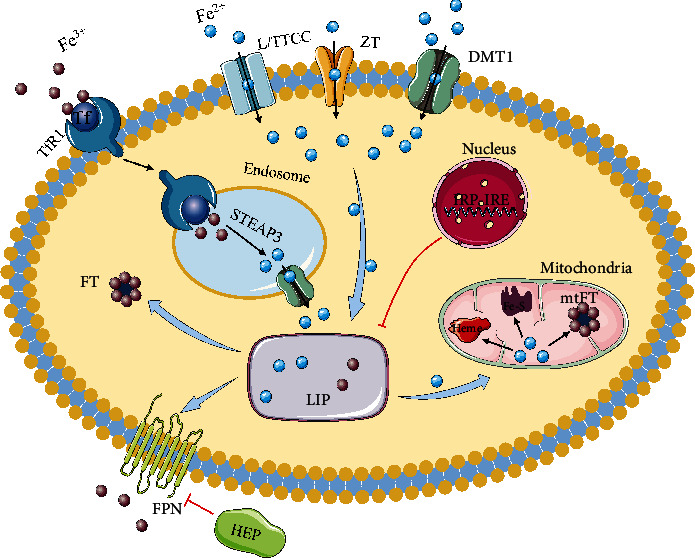 Figure 1