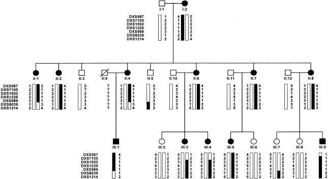 Figure  1 