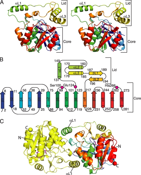 FIGURE 2.