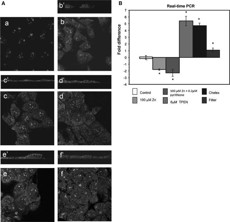 Fig. 2