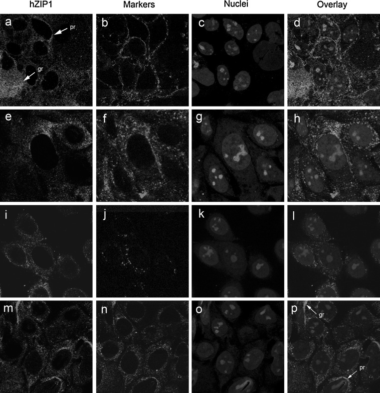 Fig. 3