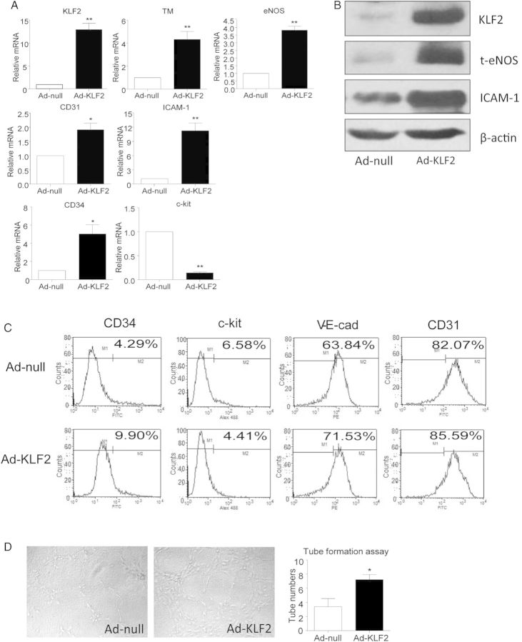 Figure 4