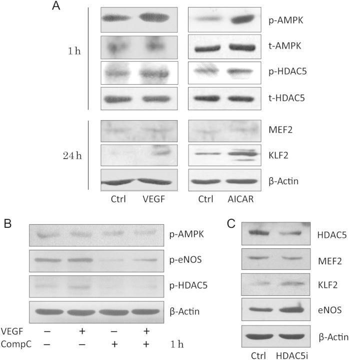 Figure 5