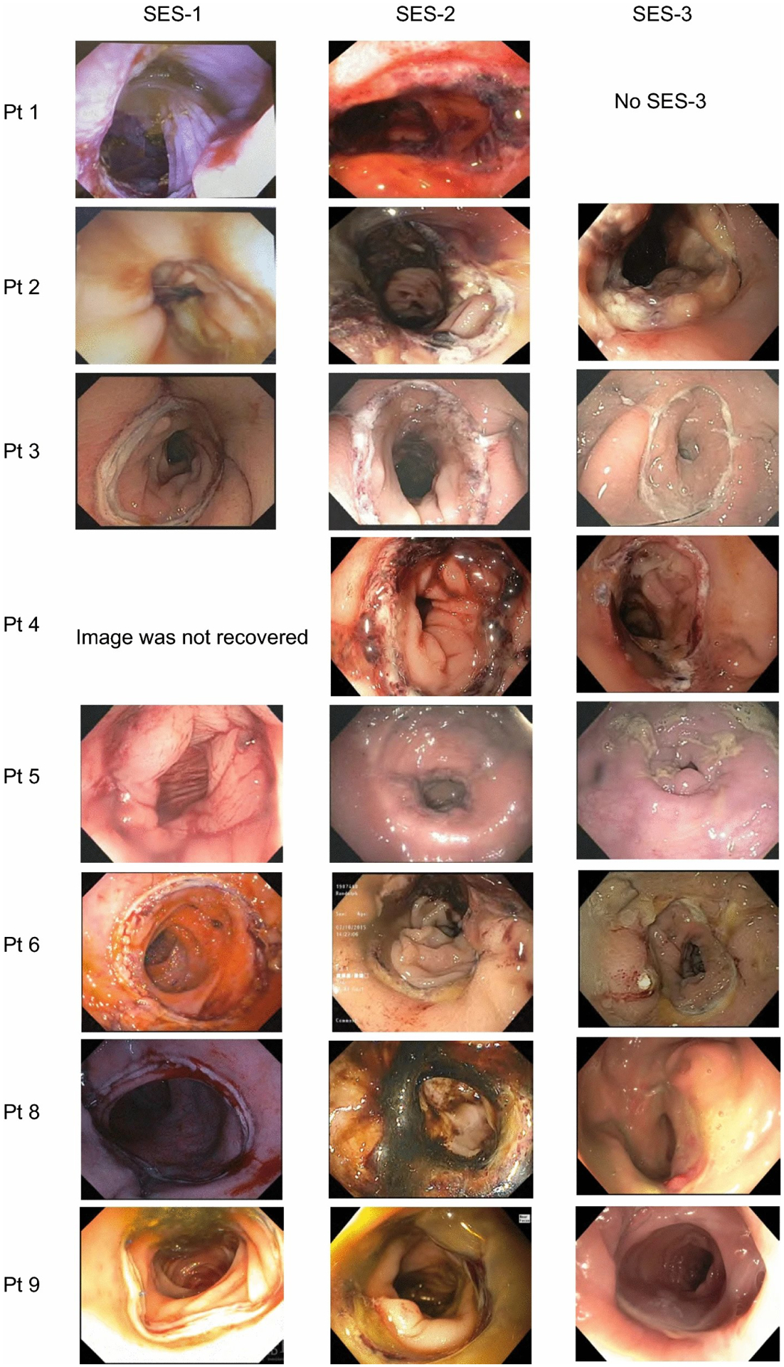 Fig.2.