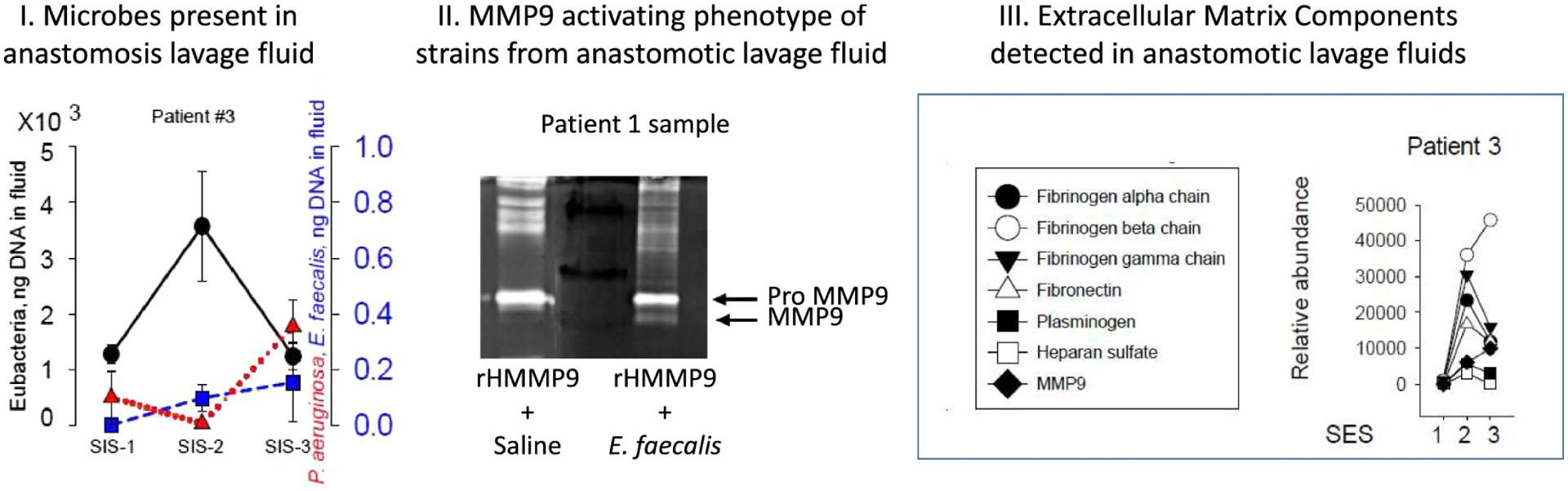 Fig.4.