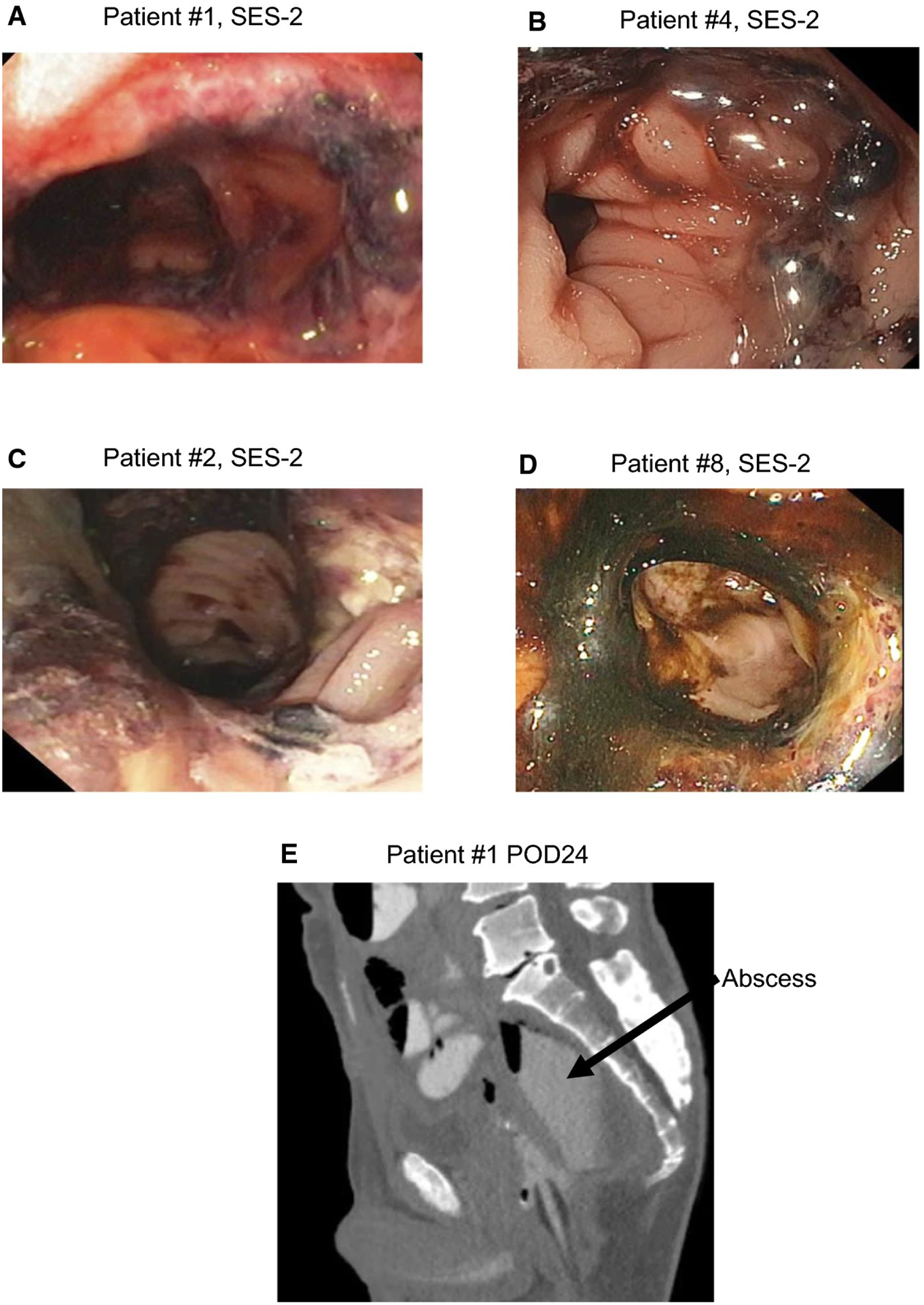 Fig.3.