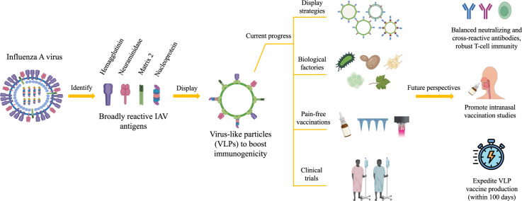 Image, graphical abstract