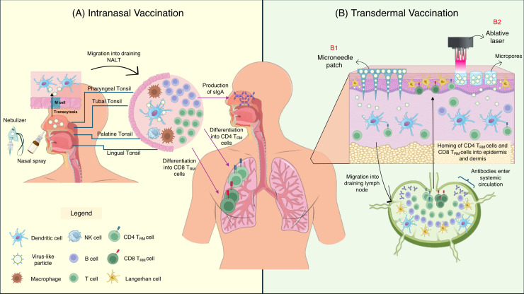 Fig 3: