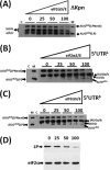 Fig 7