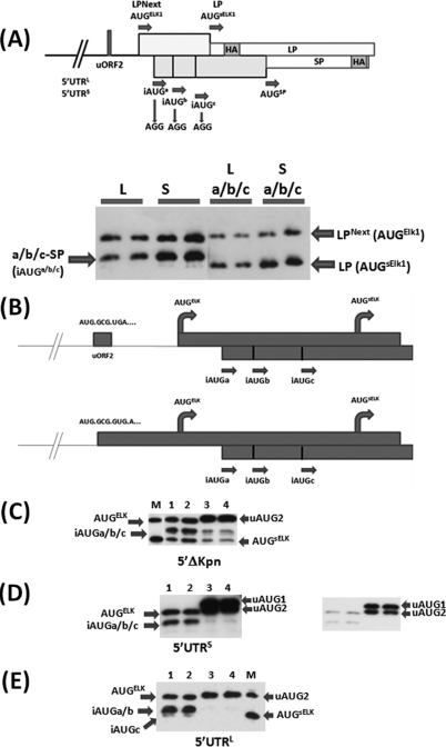 Fig 5